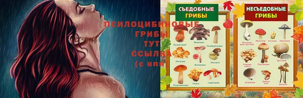MESCALINE Абинск