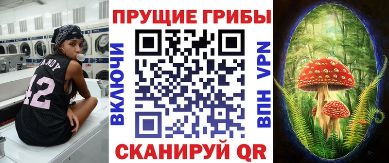 Псилоцибиновые грибы GOLDEN TEACHER  mega ONION  Никольское 